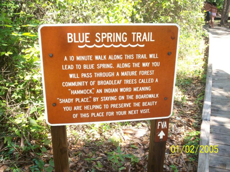 Blue Springs State Park - Blue Spring