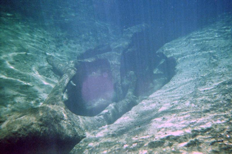 Blue Springs State Park - Blue Springs