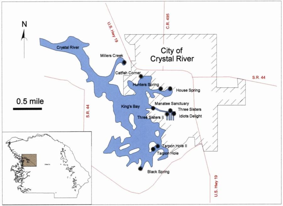 Three Sisters Spring - Map of Kings Bay (Swim with Manatees)