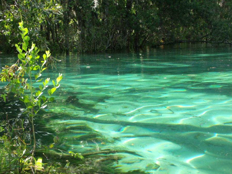 Three Sisters Spring - Crystal clear water