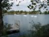 Dock and buoys supporting underwater platforms.