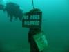 Lake Hydra - well ... duh