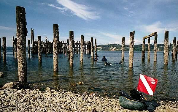 Titlow Beach - Titlow Beach 2