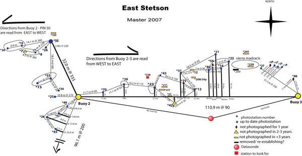 Stetson Bank (Texas Flower Gardens) - Stetson / Flower Garden Map