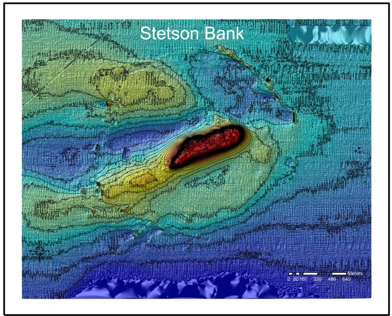 Stetson Bank (Texas Flower Gardens) - Stetson Bank - Depth Chart