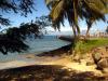 Mala Wharf, Lahaina, Maui - B4UDive