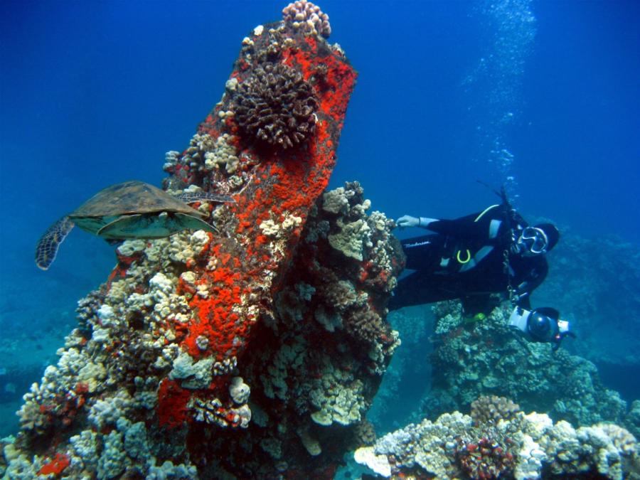 Mala Ramp (Lahaina Pier) - Great conditions