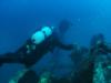 Divers Explore the Clipper