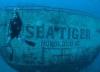 Sea Tiger - badintexas