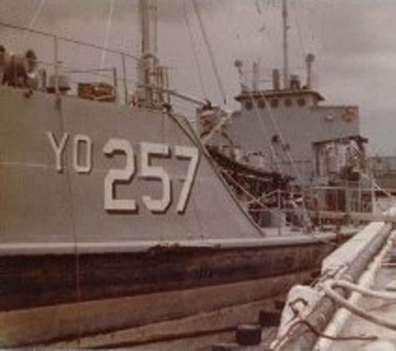 Sea Tiger - YO-257