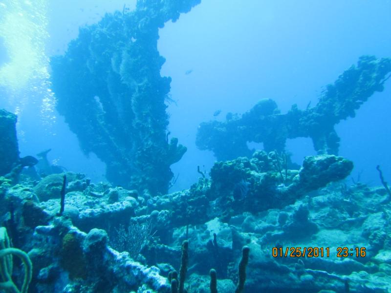 RMS Rhone wreck - Rhone wreck