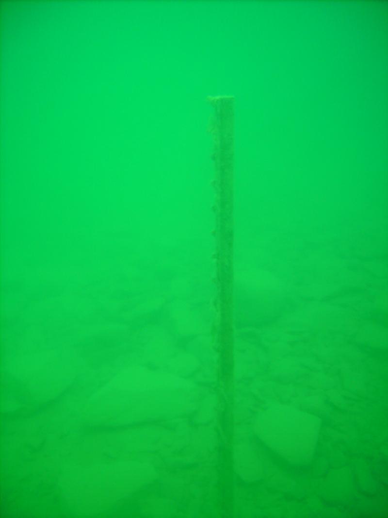 Lake Pleasant - Trees Fence Posts... Magical Green glow.