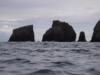 Anacapa Island - Anacapa