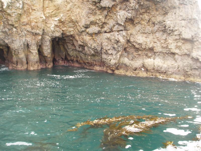 Anacapa Island - Anacapa 1