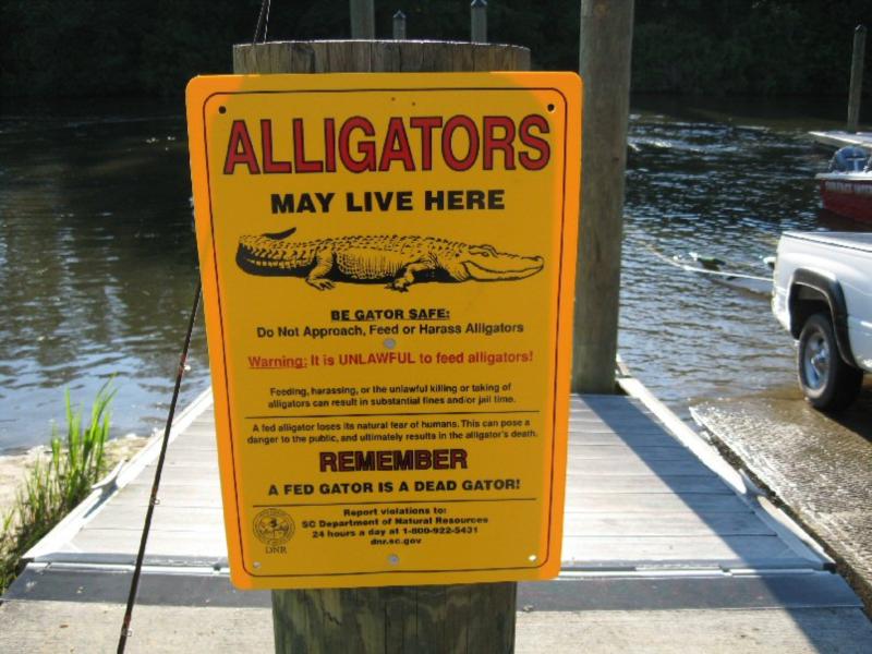 Cooper River - Cooper River Boat Ramp Sign