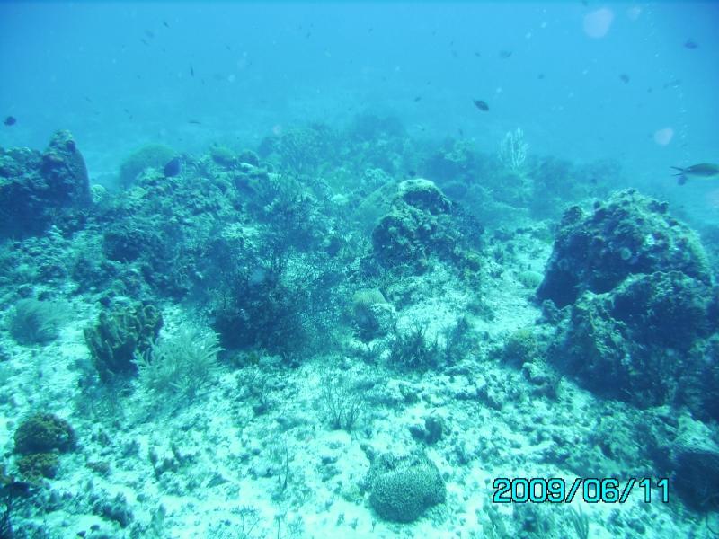 Palancar Reef - Palancar Reef, drift dive in Cozumel, Mexico - June 2009