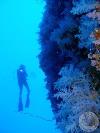 Great White Wall - Fiji