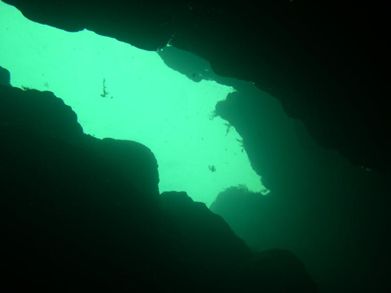 Kings Springs - Looking out of the cave