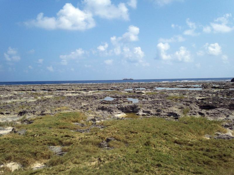 Channel Crevasses aka Channel Crevices - Channel Crevasses at Low Tide