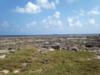 Channel Crevasses aka Channel Crevices - Channel Crevasses at Low Tide