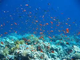 Blue Hole - Blue Hole Dahab