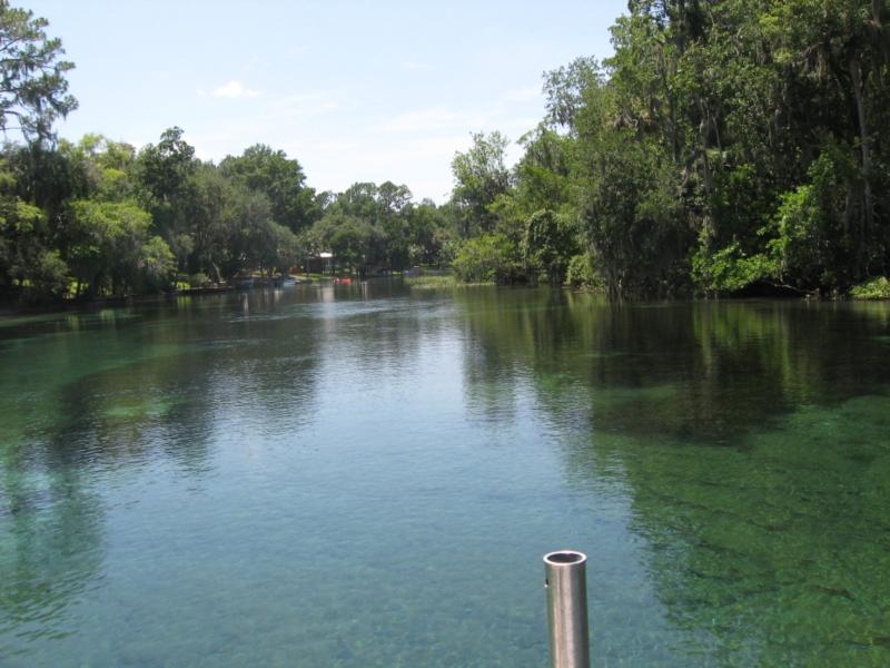 Rainbow River - the river