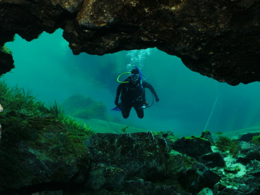 Rainbow River - Rainbow River Drift Dive