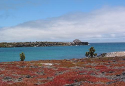 Isla Bartolomé - Isla Bartolomé seascape