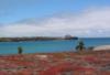 Isla Bartolomé seascape