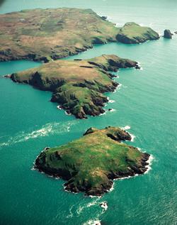 Skomer Island Marine Reserve - Skomer Island