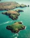 Skomer Island Marine Reserve