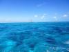 Molasses Reef - Photo uploaded by  (facebook_-702074363.jpg)