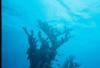 Photo uploaded by  (facebook_-431003177.jpg) - freeflow22