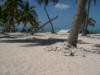 Topside Halfmoon Caye