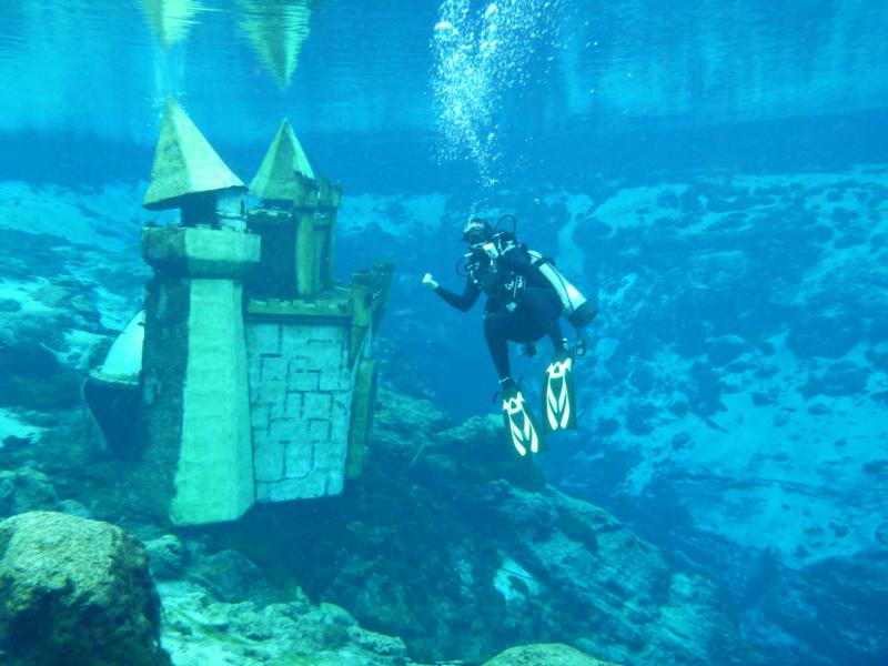 Weeki Wachee Springs - Diving at Weeki 8-14-11
