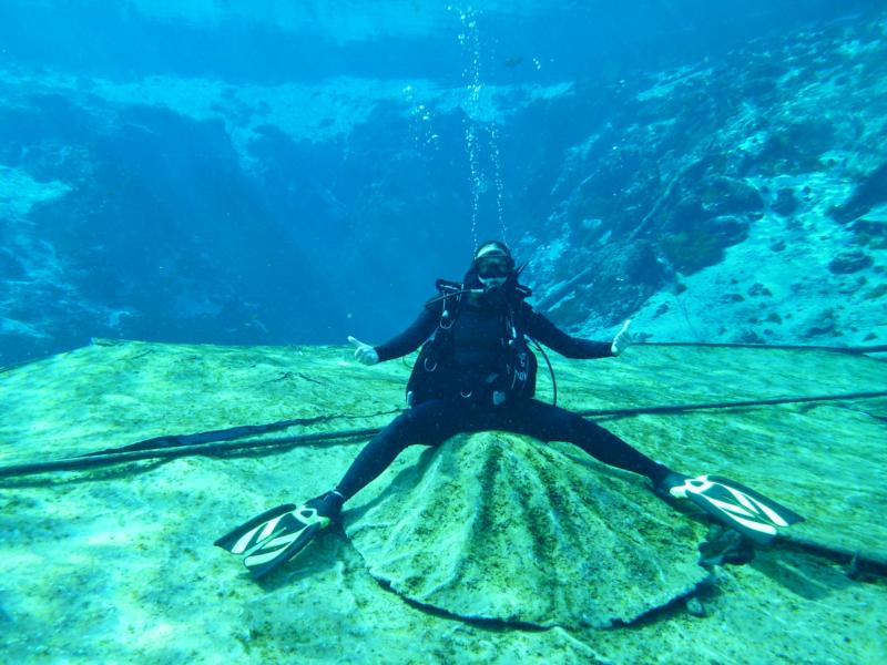 Weeki Wachee Springs - Diving at Weeki Wachee 8-14-11