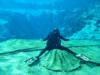 Diving at Weeki Wachee 8-14-11