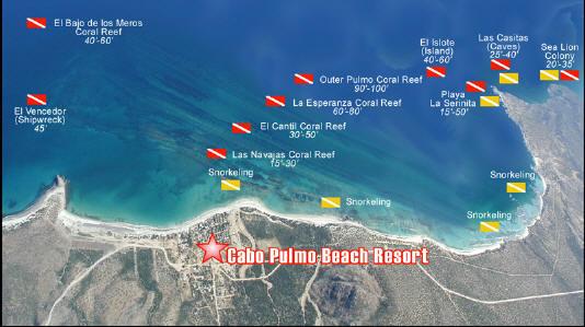 Cabo Pulmo - Cabo Pulmo Dive sites