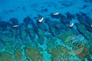 Looe Key Reef - LOOE Key