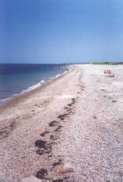 Sandwich Town beach - Sandwich Town Beach 