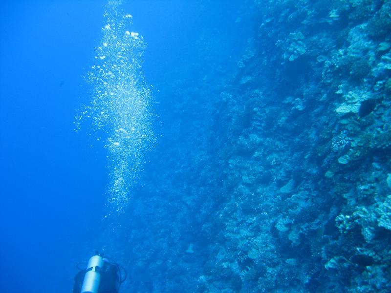 Molokini Crater - Back Wall 2011 - Molokini