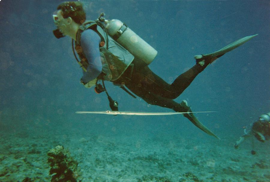 Molokini Crater - Stay horizontal!