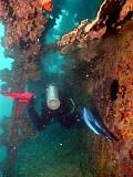 St. Anthony Wreck - wreck