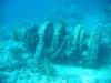 Winch Hole - Key Largo FL