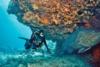 Fire Coral Cave in Molasses Reef - Diver and Goliath Grouper