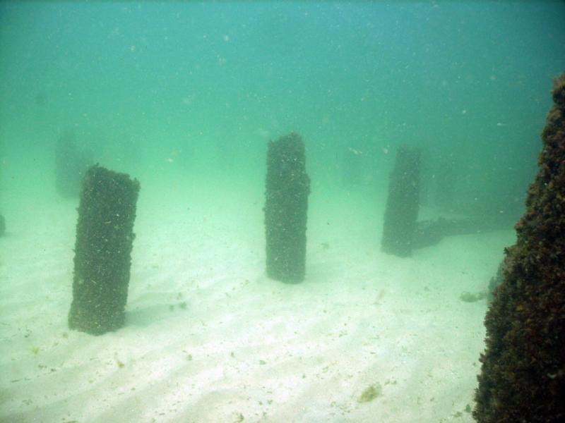 Pensacola Beach Pier Rubble - Pilings