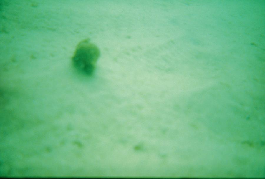 Fort Pickens Jetties - 35 ft down Ft Pcikens