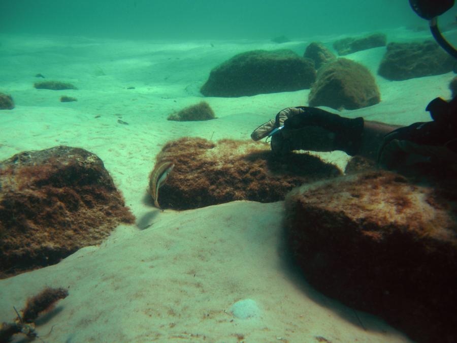 Destin Jetties - Destin Jetties