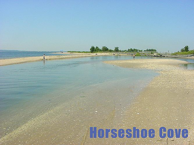 SANDY HOOK SHORE "Horseshoe Cove" - Horseshoe Cove (Sept. 2008)