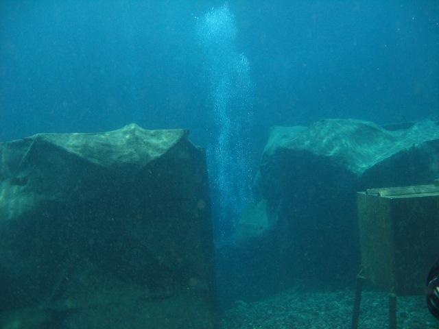 Vortex Springs - Natural Springs